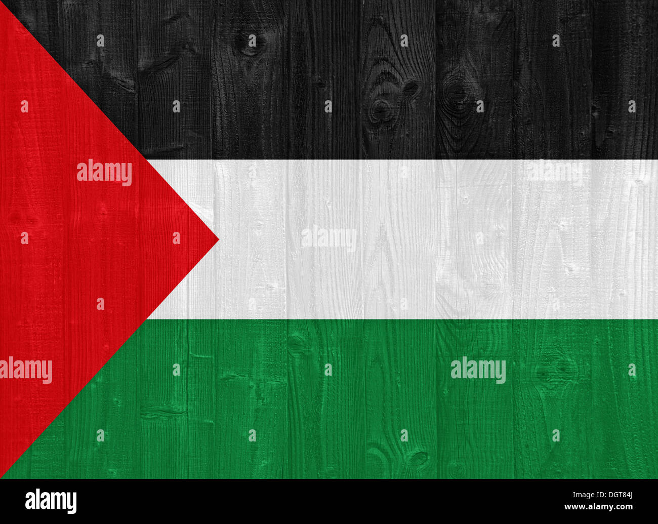 gorgeous Palestine flag painted on a wood plank texture Stock Photo