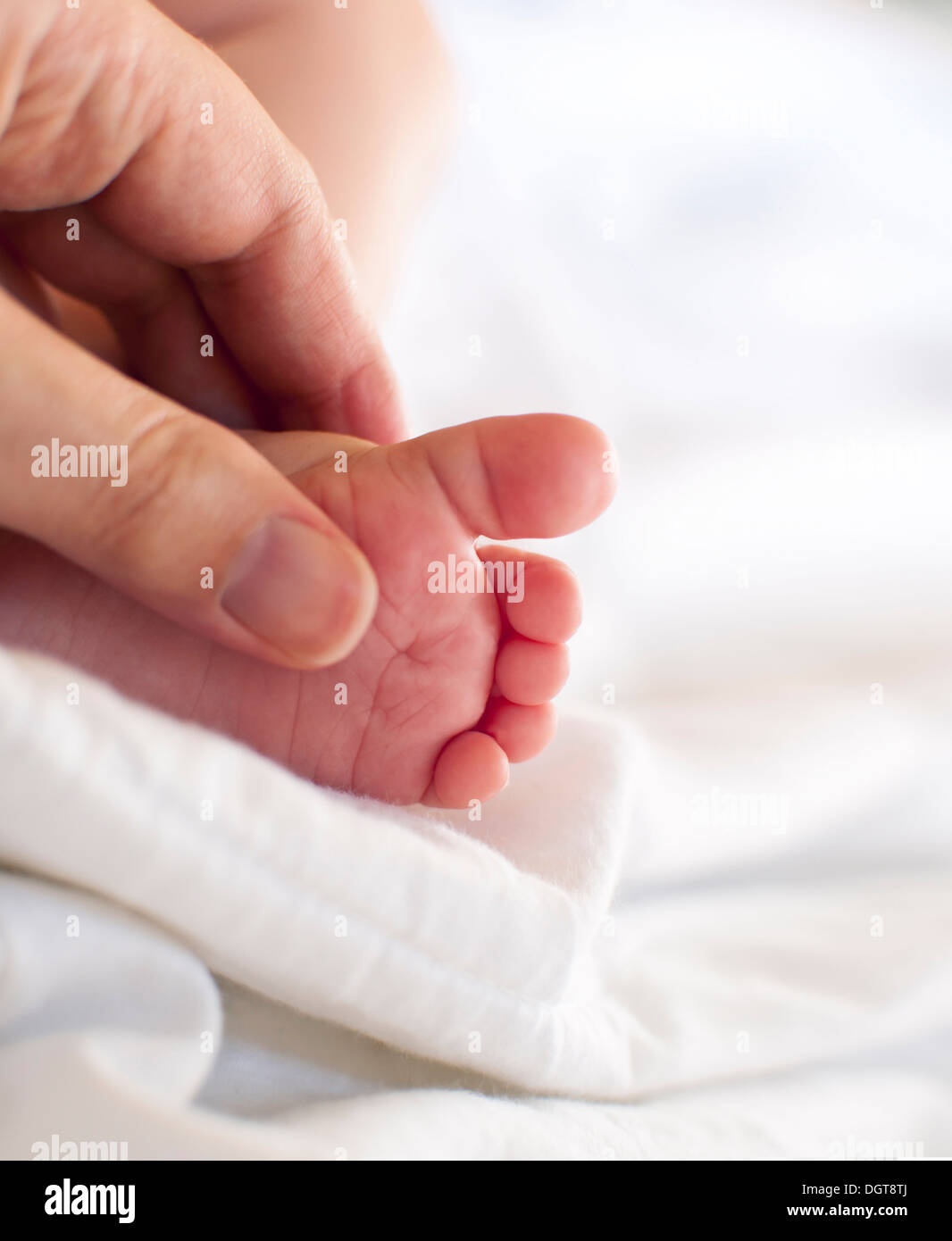 Tiny Baby Toes Stock Photo