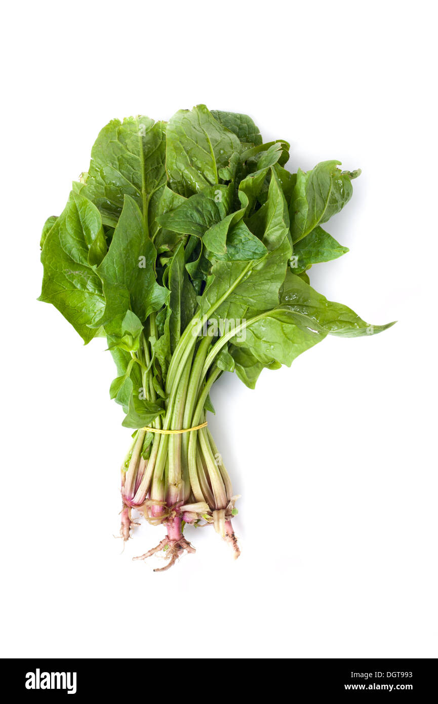 Spinach on white background with soft shadow Stock Photo
