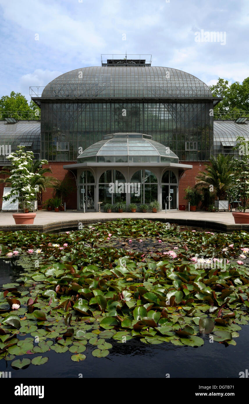 Tropical House, Palm Garden, Frankfurt am Main, Hesse Stock Photo