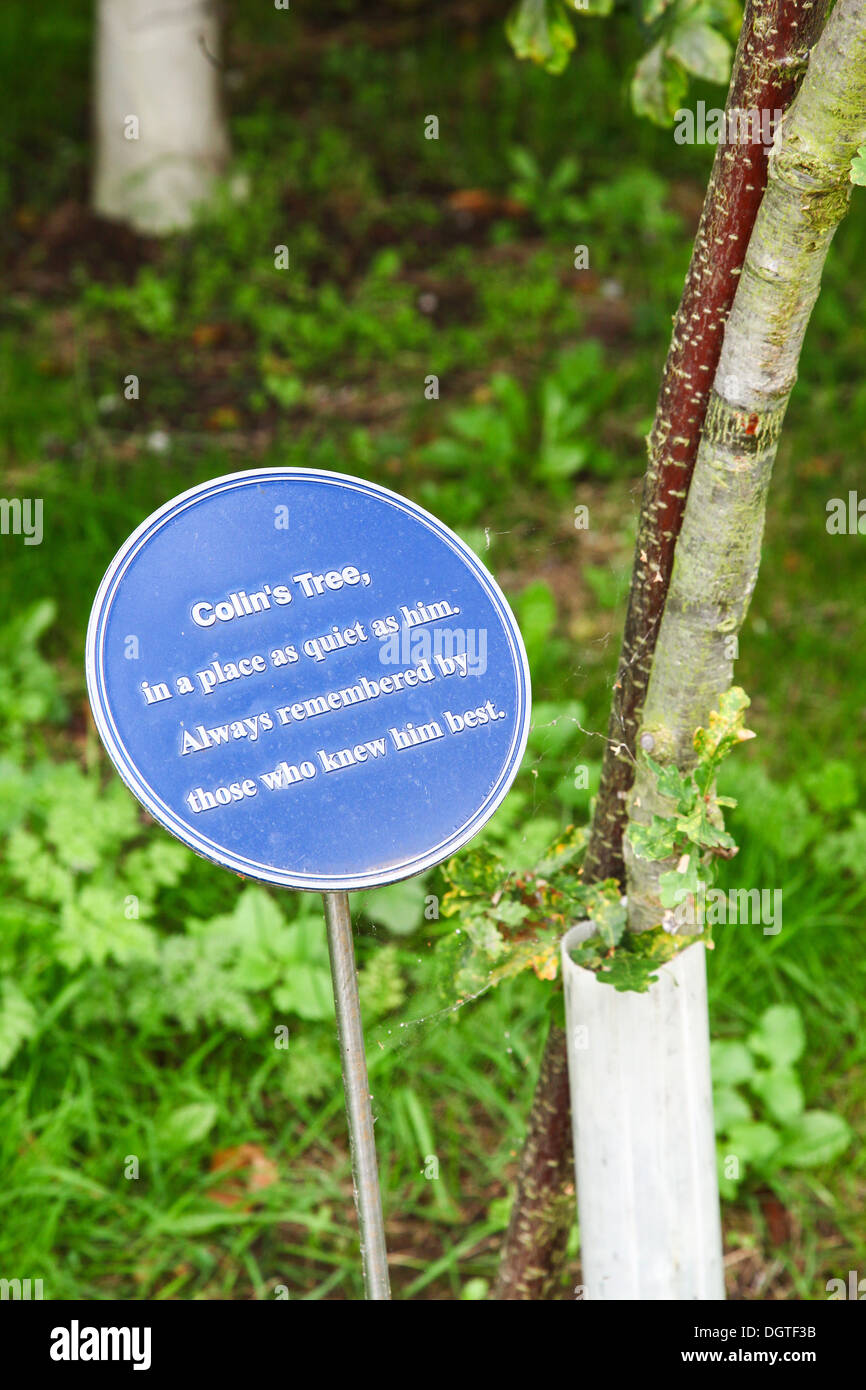 A sign on a tree at the National Memorial Arboretum at Alrewas, near Lichfield, Staffordshire, England, UK Stock Photo