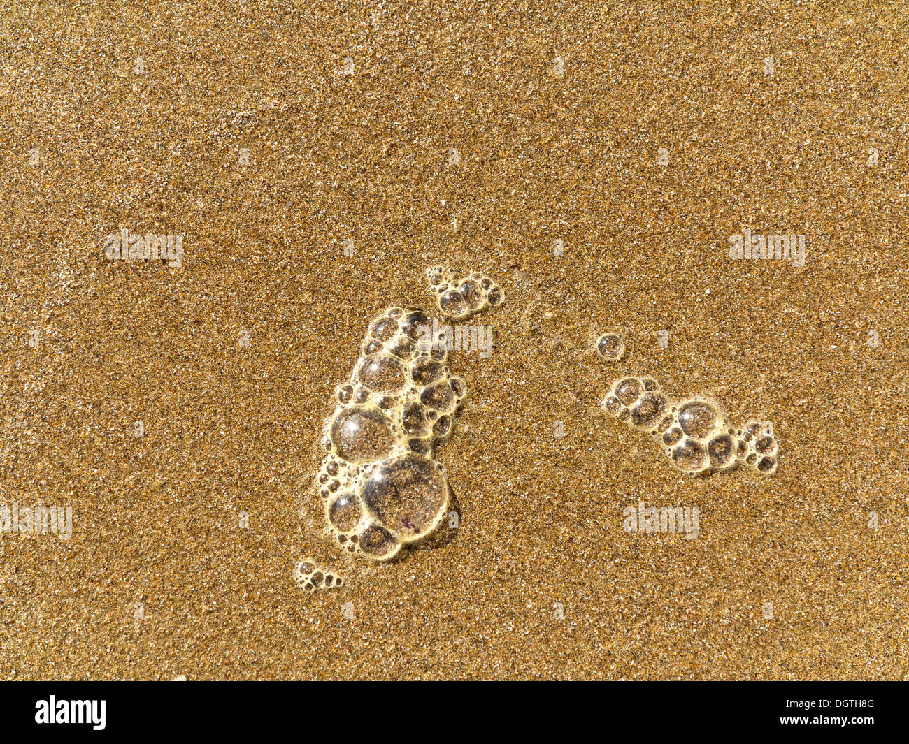 Close up of surf bubbles on a beach just showing flat sand surface and