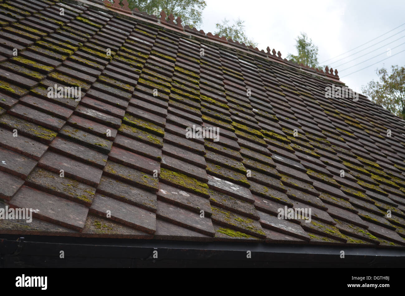 Square roofing tiles Stock Photo Alamy