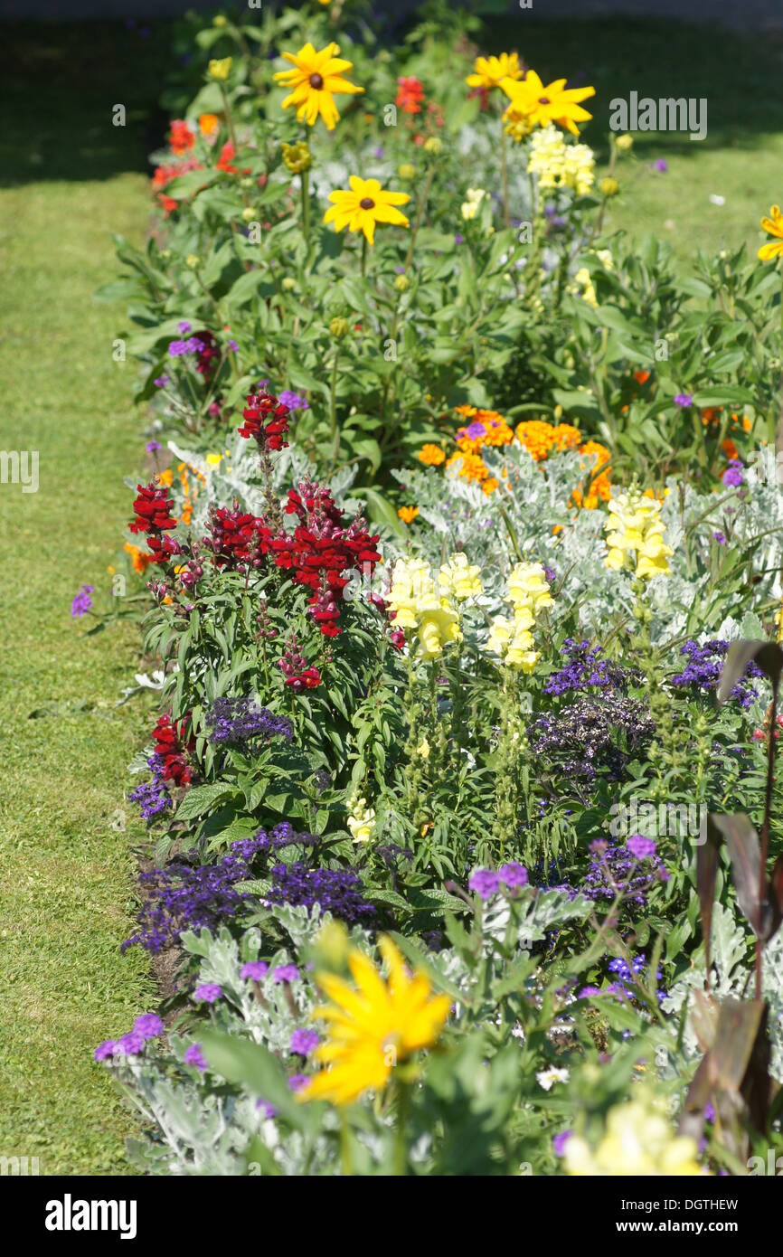 Flowerbed Stock Photo