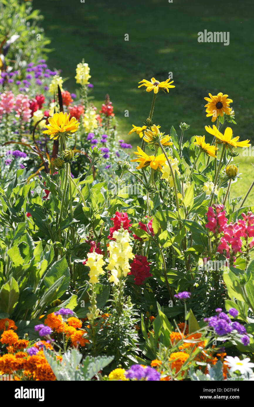 Flowerbed Stock Photo