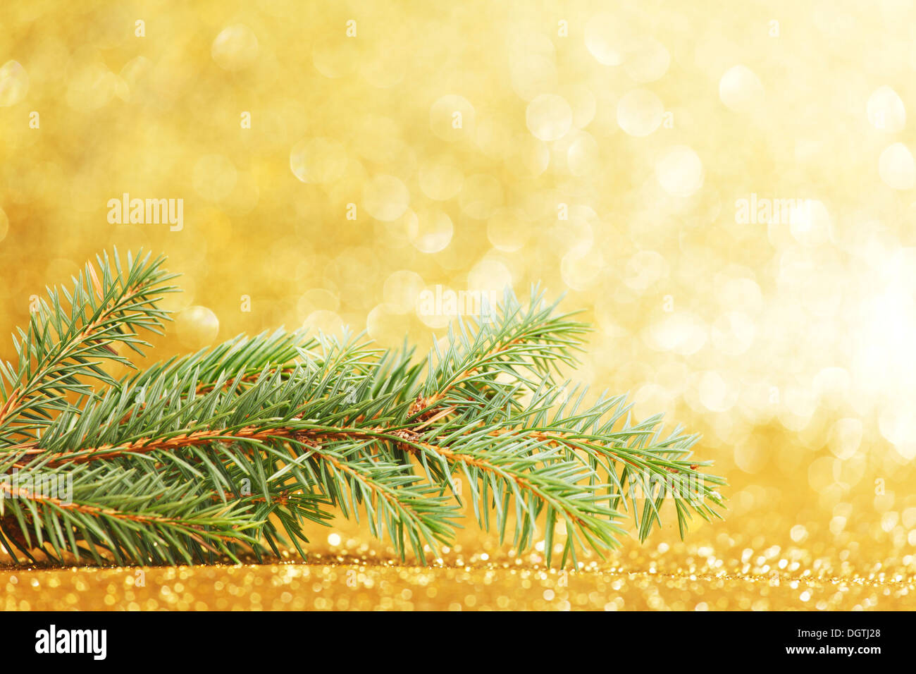 New year card with natural fir branch Stock Photo - Alamy