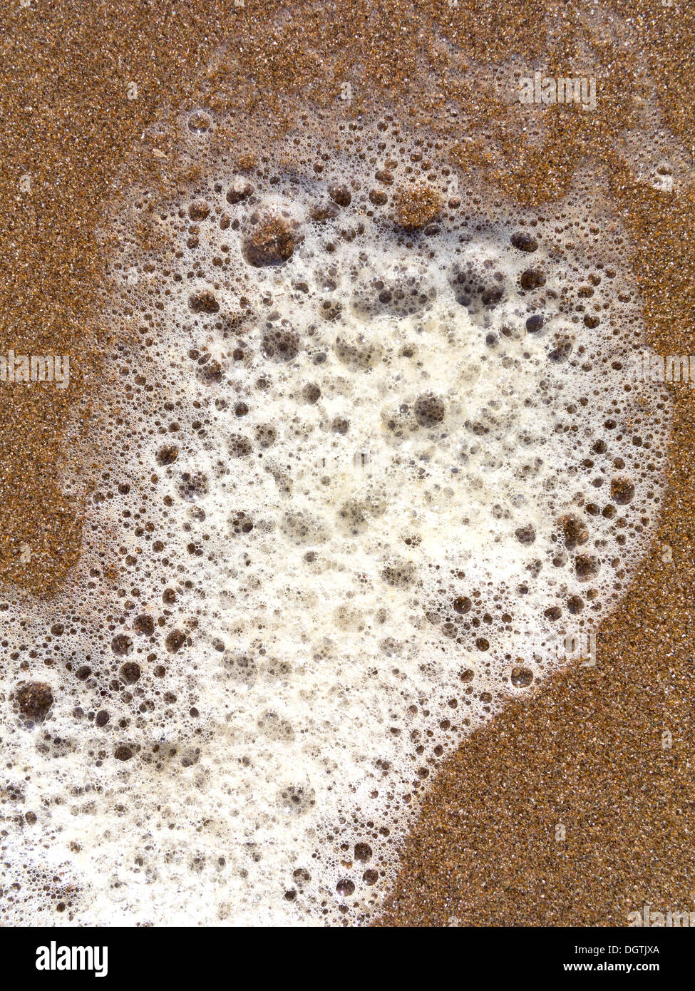 Foam bubble at the beach hires stock photography and images Alamy