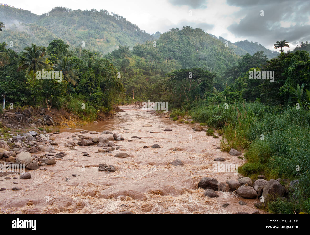 Jamaica. The river after a rain Stock Photo Alamy