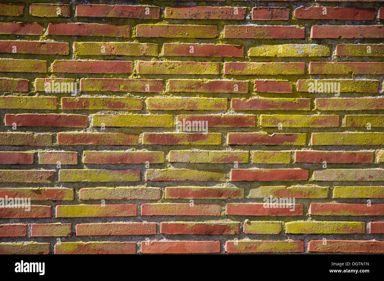 Old brick wall Stock Photo