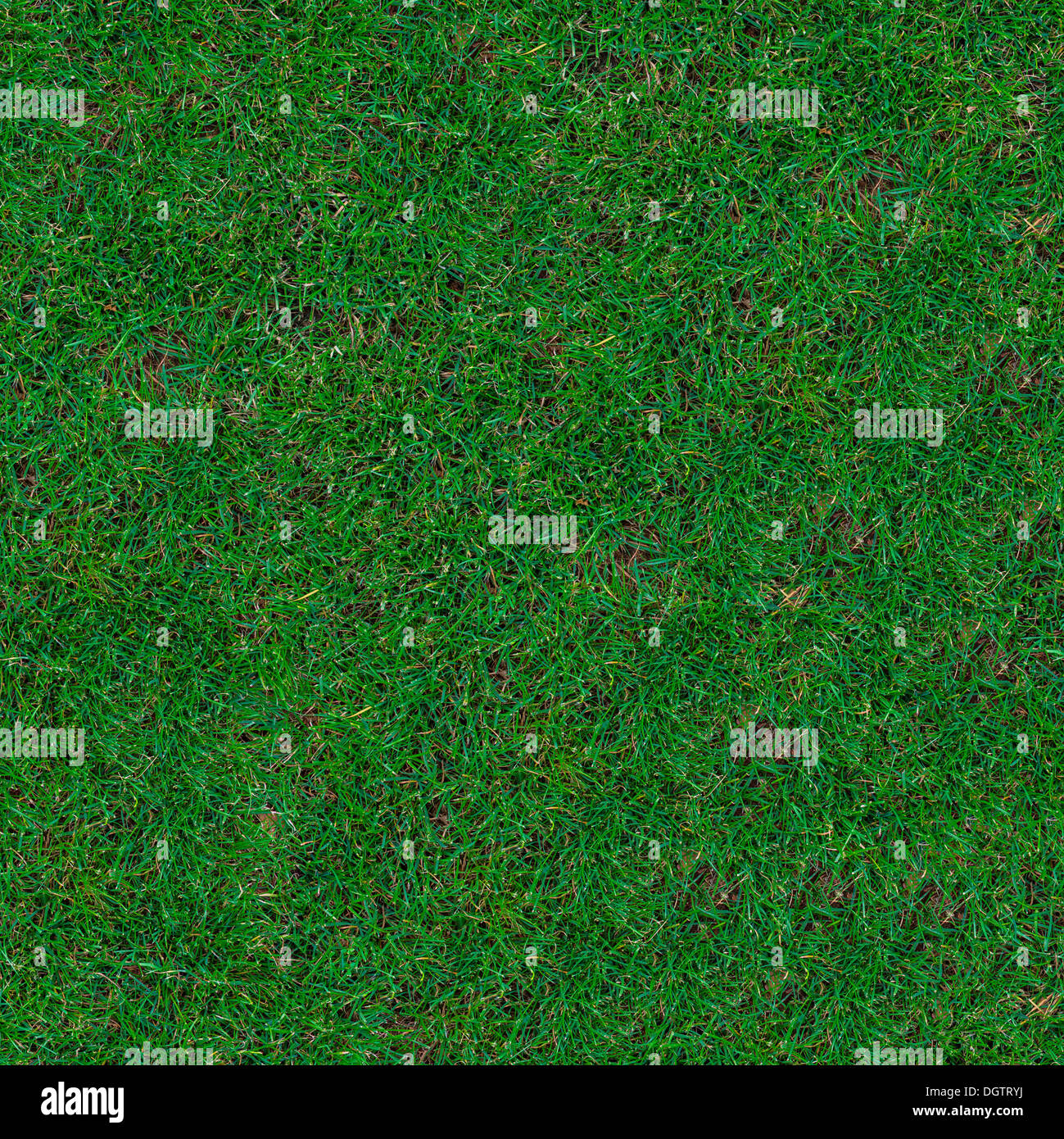 Grass. Seamless Texture. Stock Photo