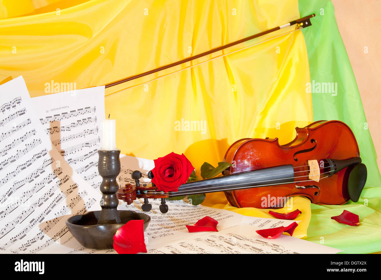 Viola with red roses on notes sheet Stock Photo