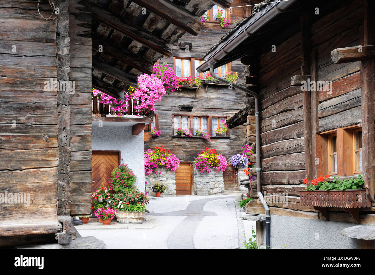 Traditional wooden chalets in the picturesque Swiss village of Evolene in the Val d'Herens Stock Photo