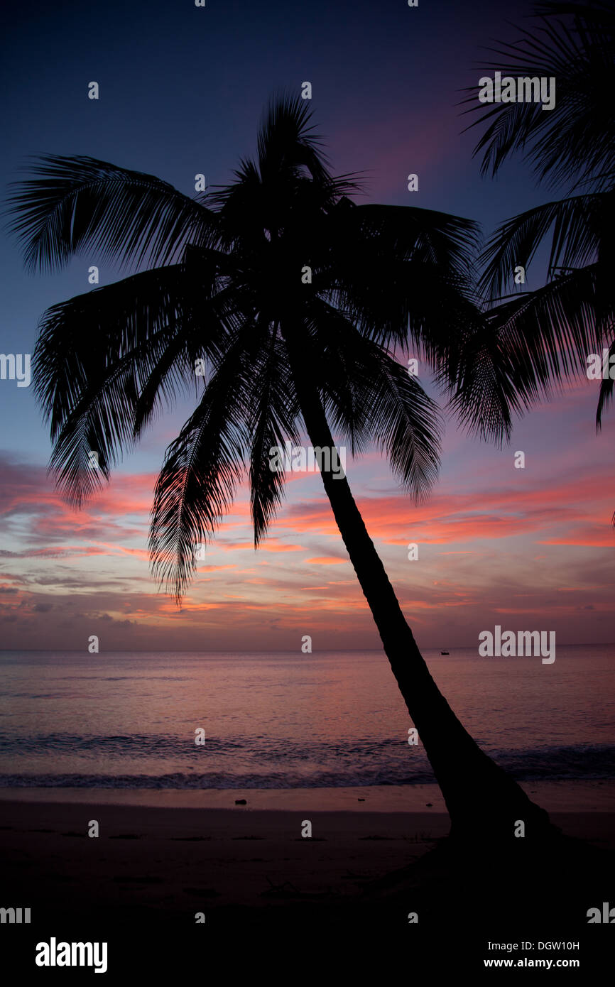 Tropical beach sunset palm trees hi-res stock photography and images ...