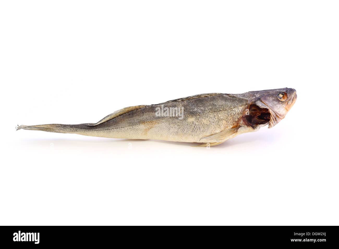 Dried fish on a white background Stock Photo