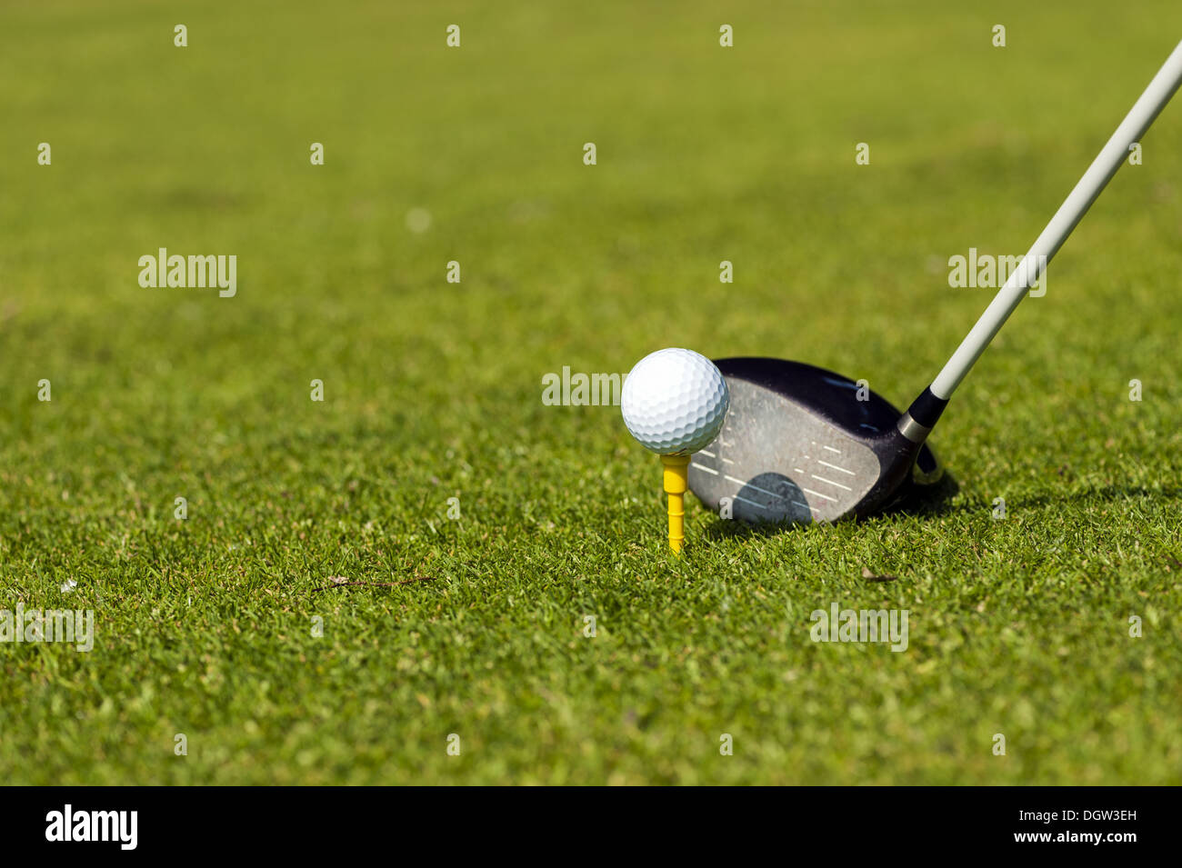 Golf club with golf ball Stock Photo
