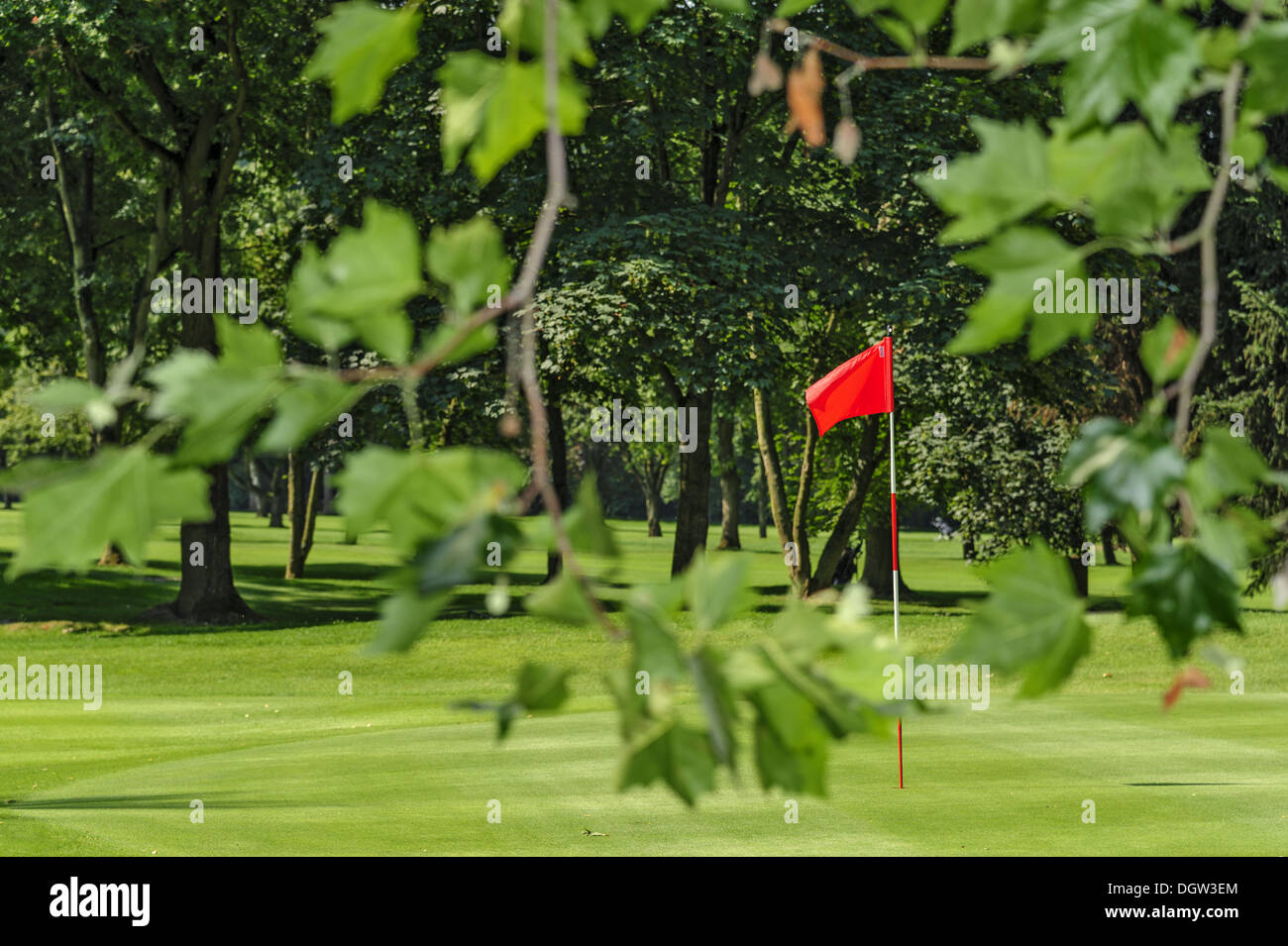 red flag under trees Stock Photo
