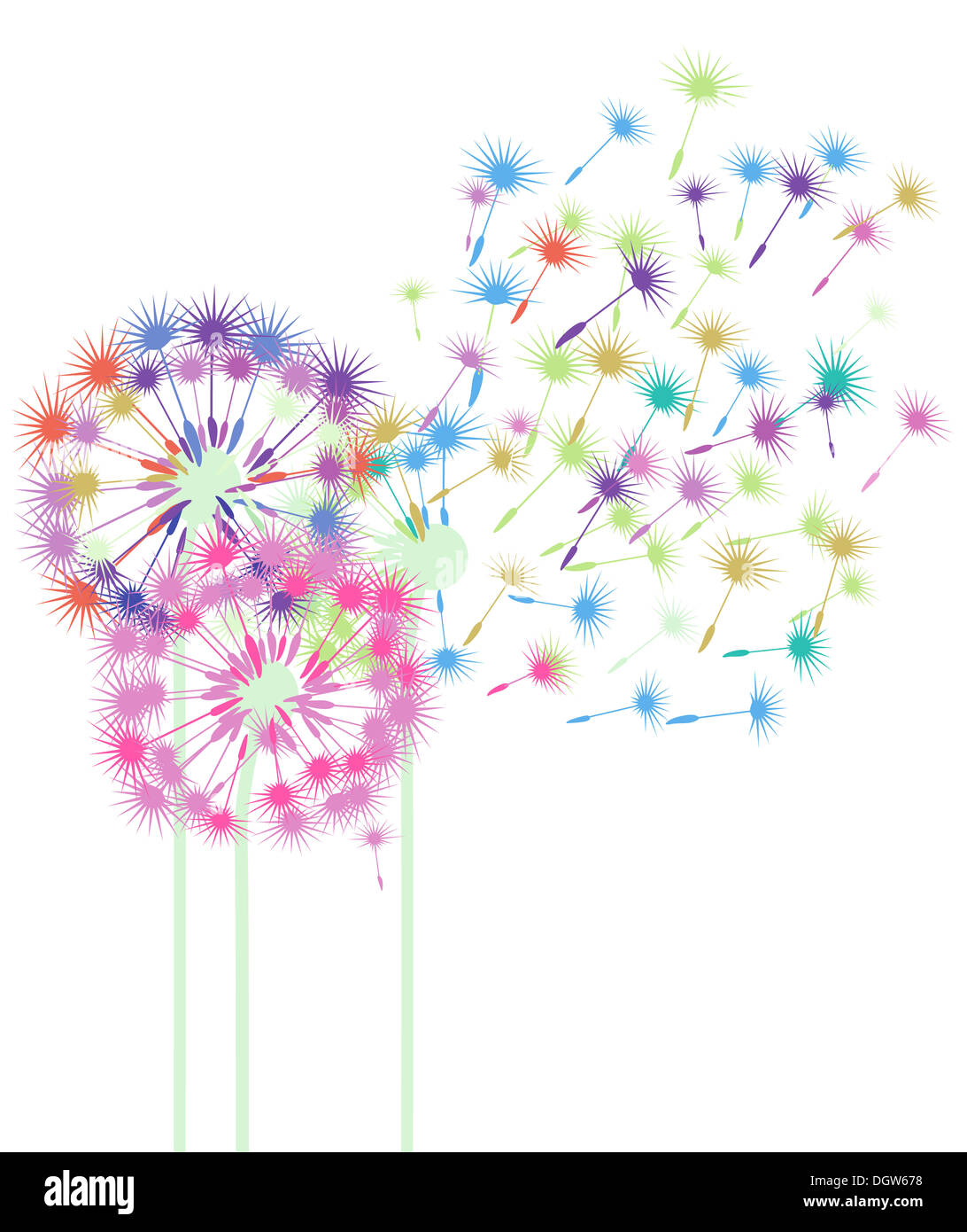colorful dandelions Stock Photo