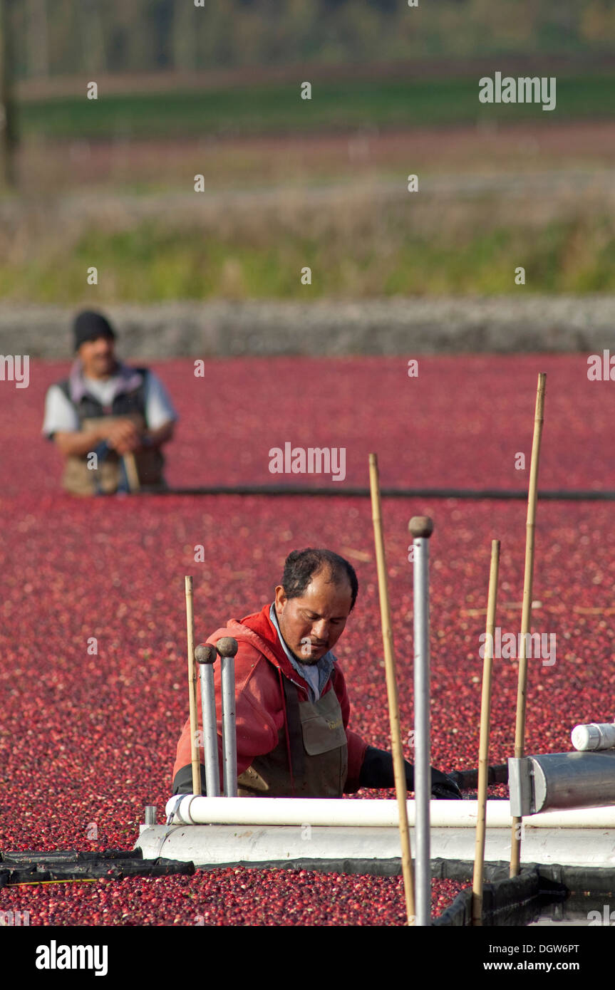 Delta bc hires stock photography and images Alamy