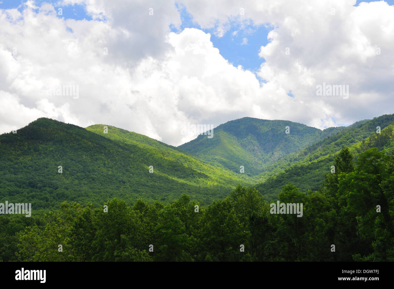 Great Smoky Mountains National Park, Tennessee, USA Stock Photo - Alamy
