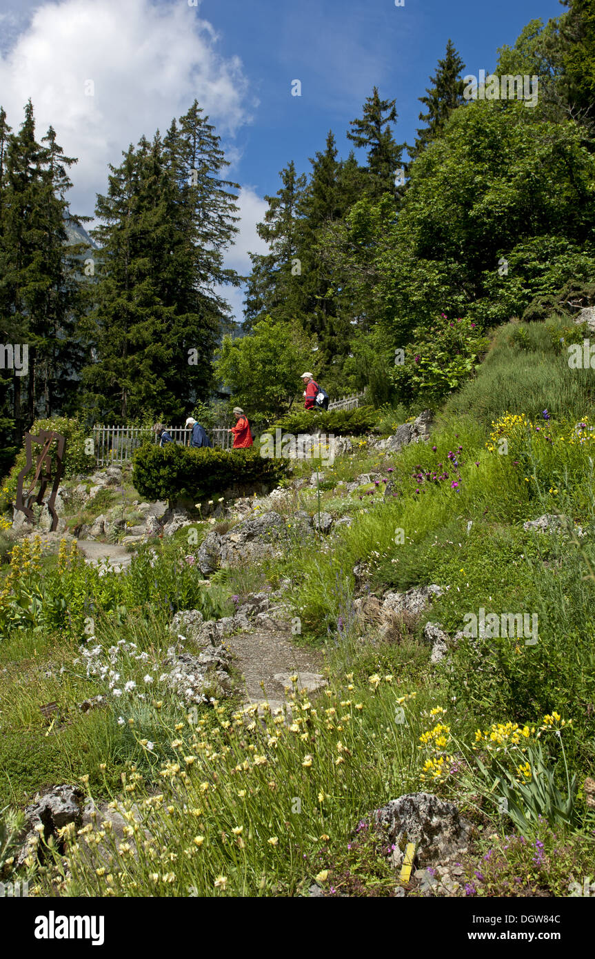 botanical garden Flore-Alpe, Champex-Lac, Stock Photo