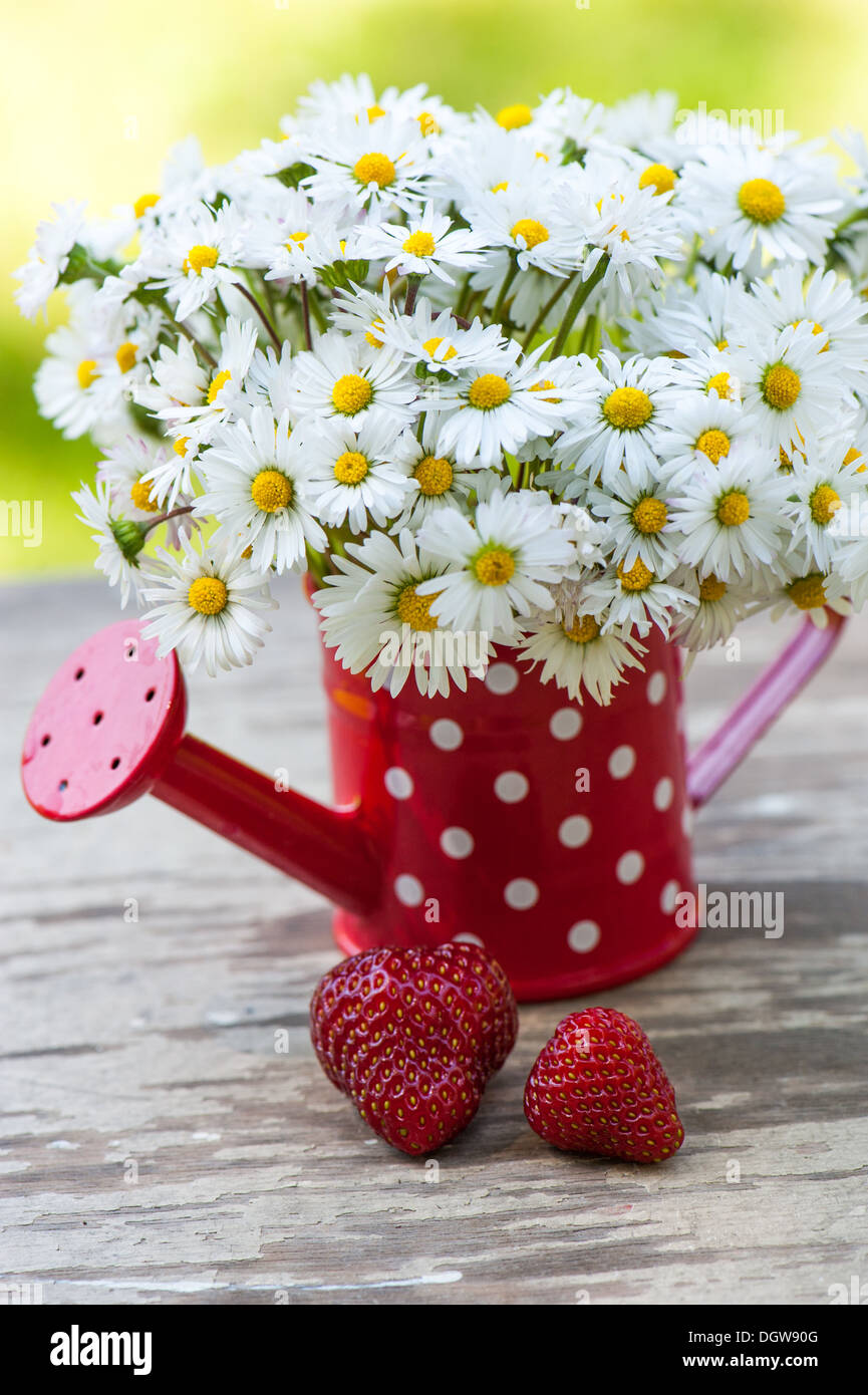 Red watering can with daisies Stock Photo Alamy