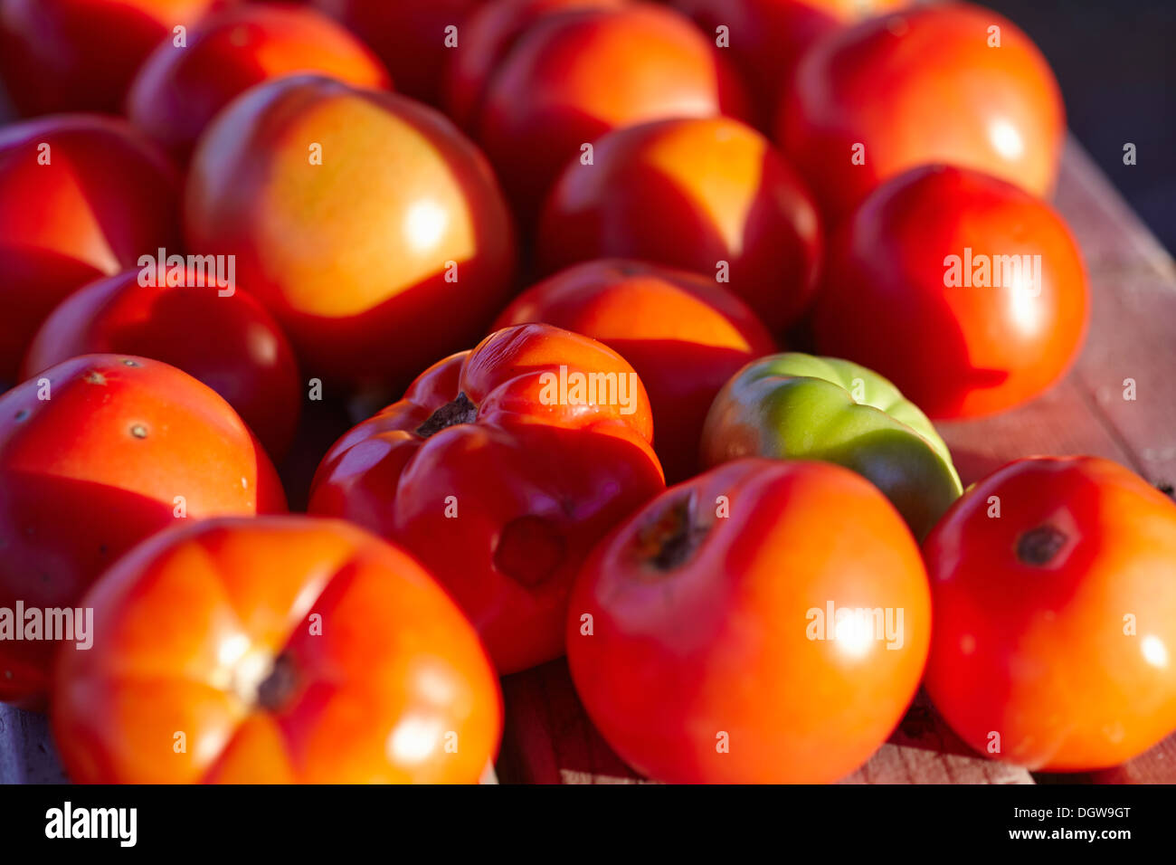 Beefsteak Tomatoes on display at a New Jersey farm Stock Photo Alamy