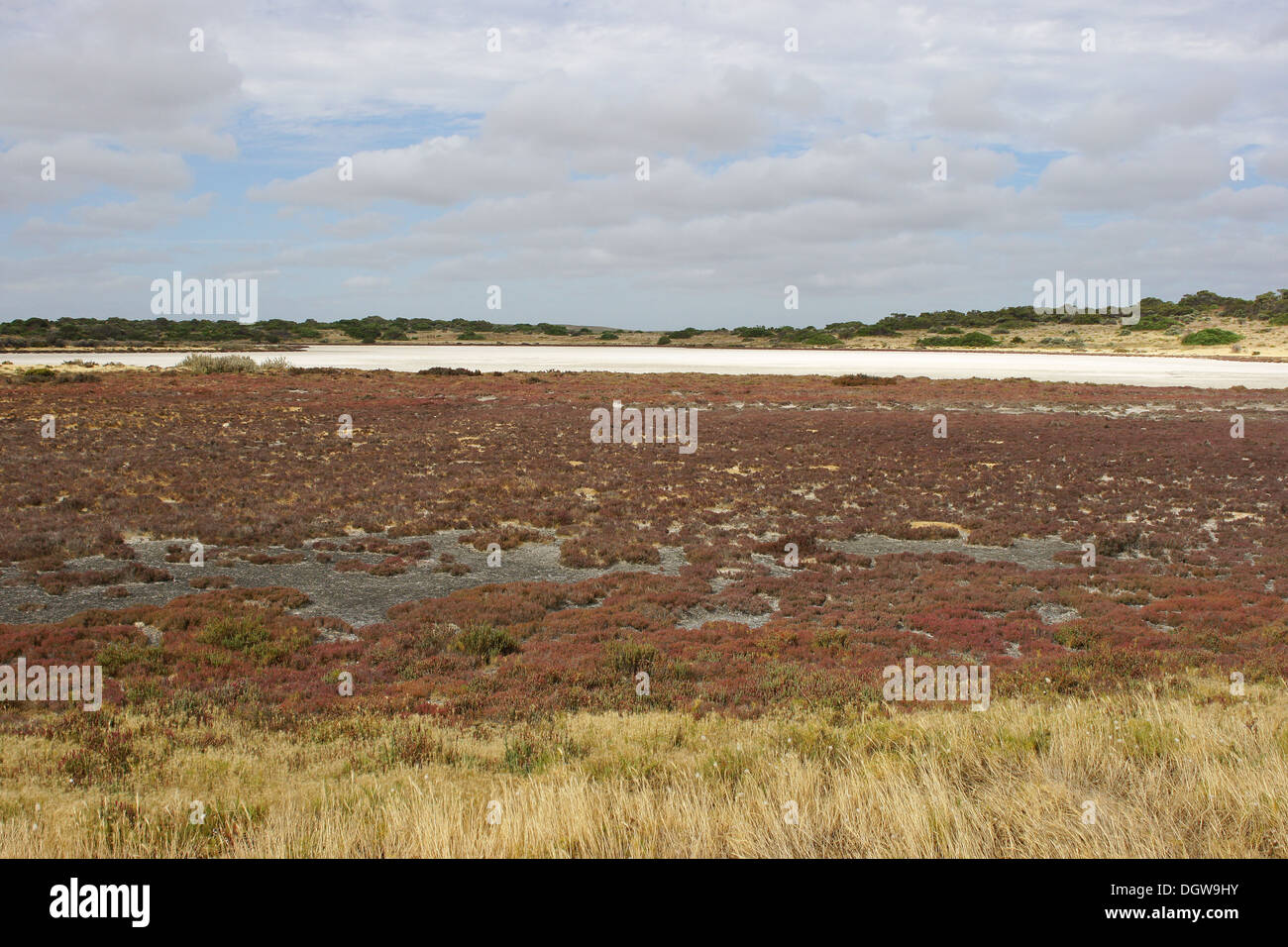 Coorong National Park, Australia Stock Photo