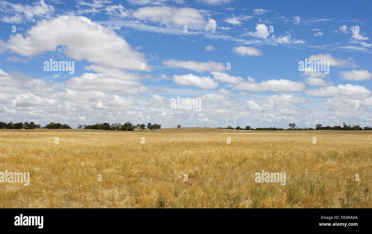 Panoramic australia agriculture farming hi-res stock photography and ...