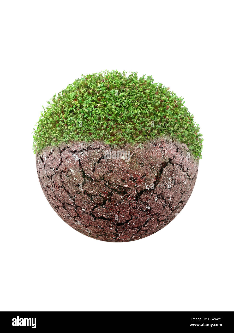 Cracked planet being covered by verdure shot on white Stock Photo