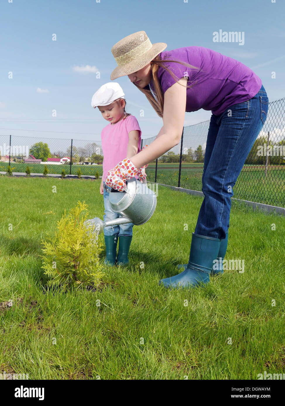 Mom and her cute little daughter watering together newly planted thuja tree in their backyard garden Stock Photo