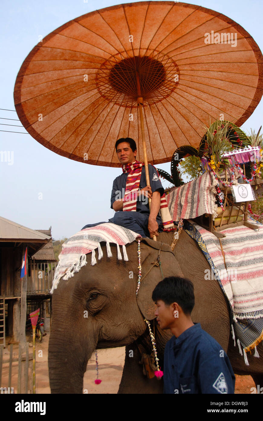 Decorated elephant, Mahout riding under sunshade, Elephant Festival Parade, Ban Viengkeo, Hongsa, Xaignabouri Province, Sayaburi Stock Photo