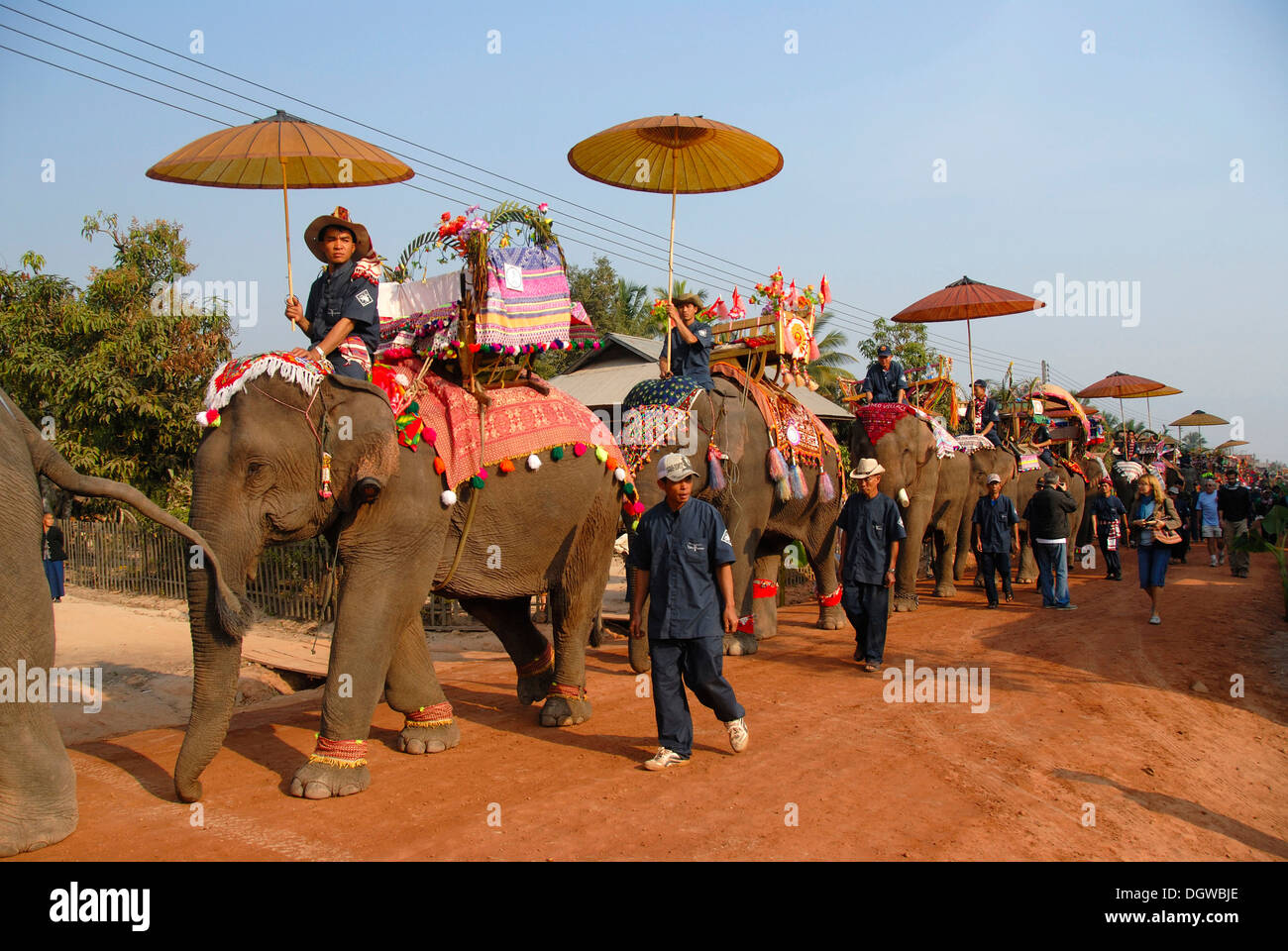 Decorated elephants, Mahouts riding under sunshade, Elephant Festival Parade, Ban Viengkeo, Hongsa, Xaignabouri Province Stock Photo