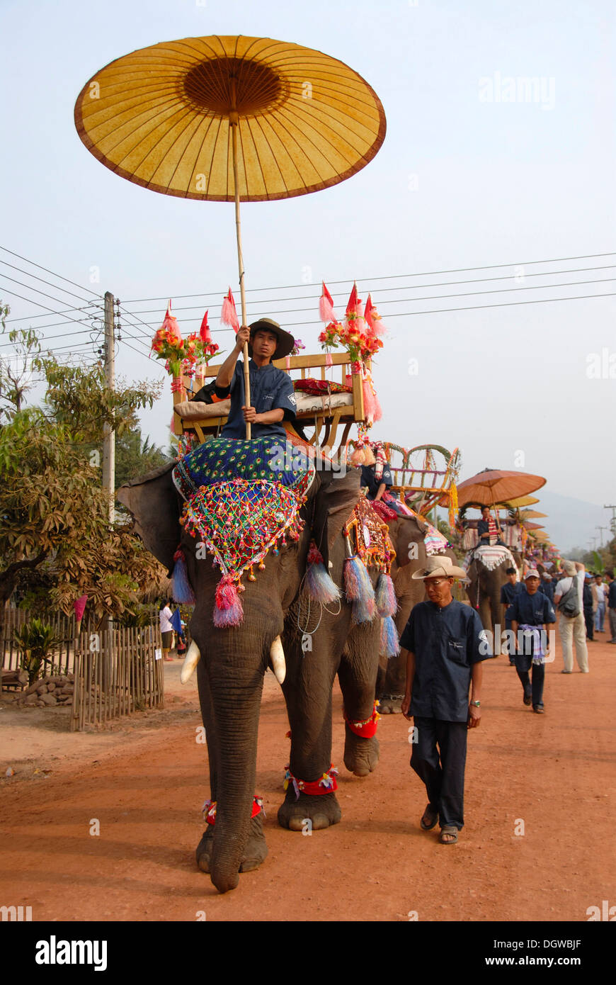 Decorated elephants, Mahout riding under sunshade, Elephant Festival Parade, Ban Viengkeo, Hongsa, Xaignabouri Province Stock Photo