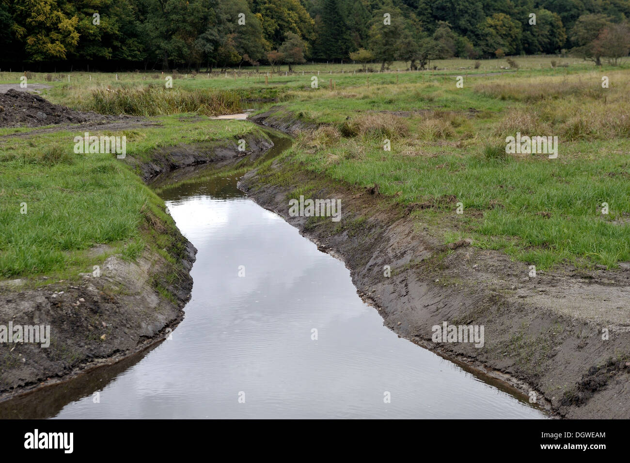 Restored meanders in a small river is a biological project aimed to support the freshwater mussel (Unio crassus) Stock Photo