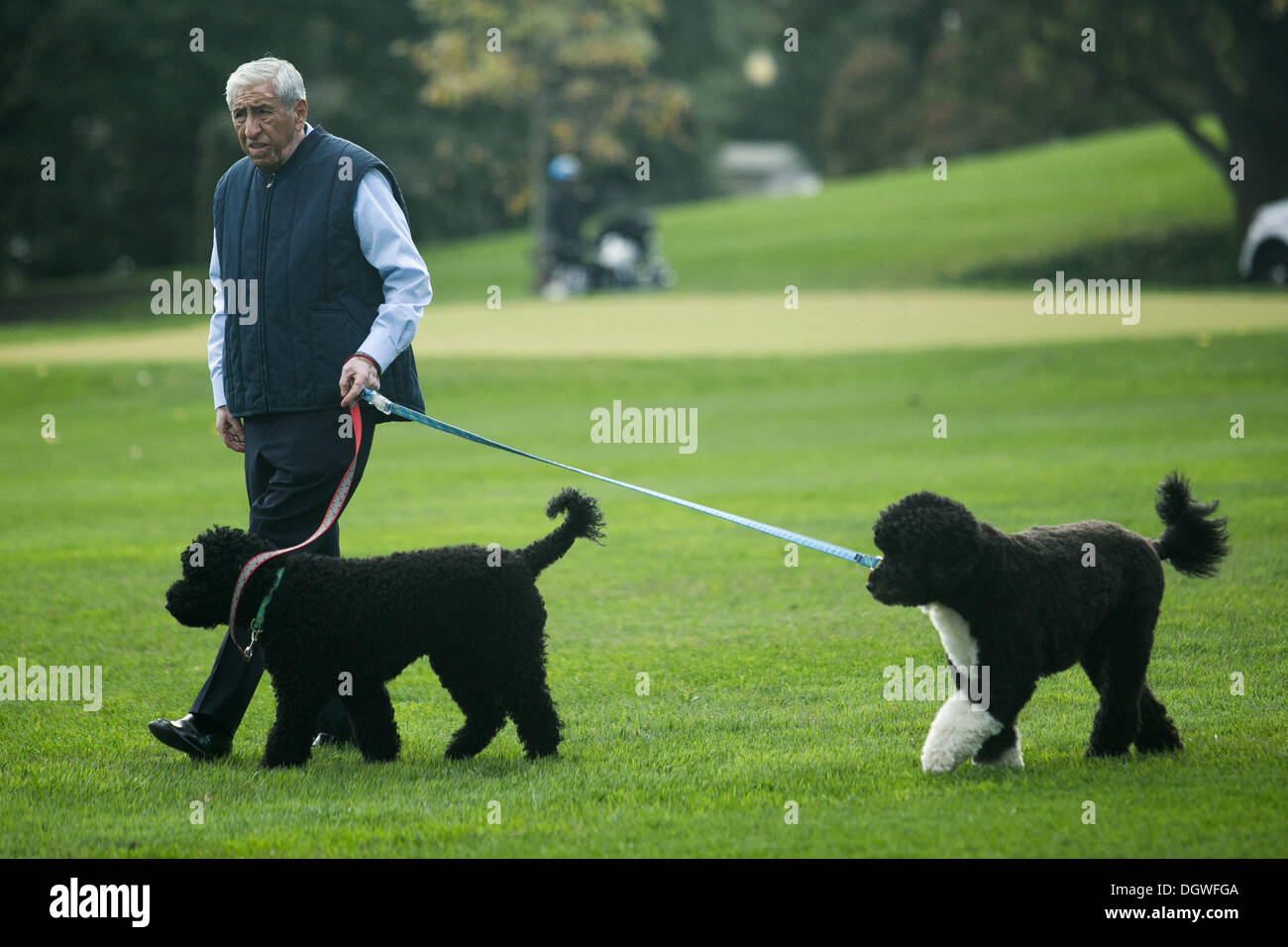 Washington, DC. 24th Oct, 2013. An unidentified White House staffer walks Bo and Sunny, the Obama family dogs, on the South Lawn of the White House, on October 24, 2013, in Washington, DC. Credit: Drew Angerer / Pool via CNP/dpa/Alamy Live News Stock Photo