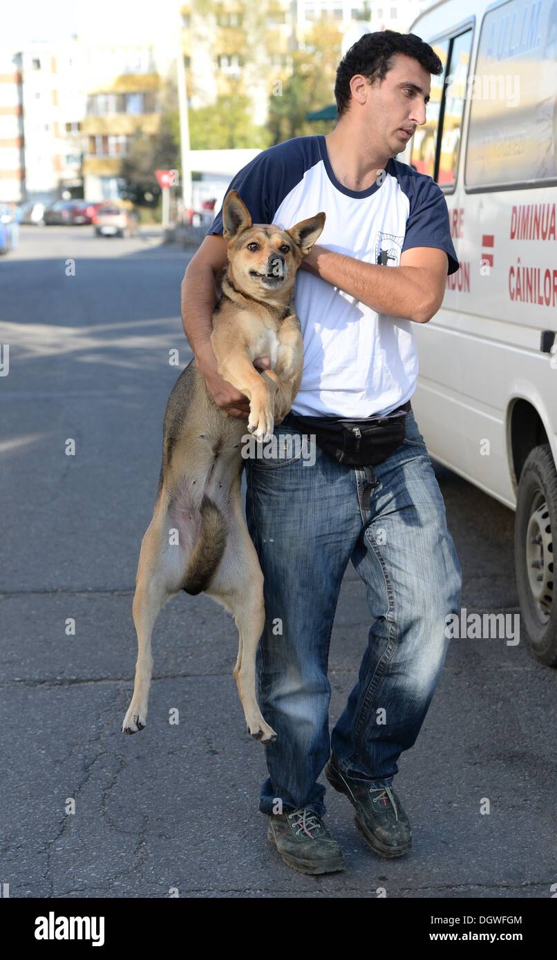 Dog catcher hi-res stock photography and images - Alamy
