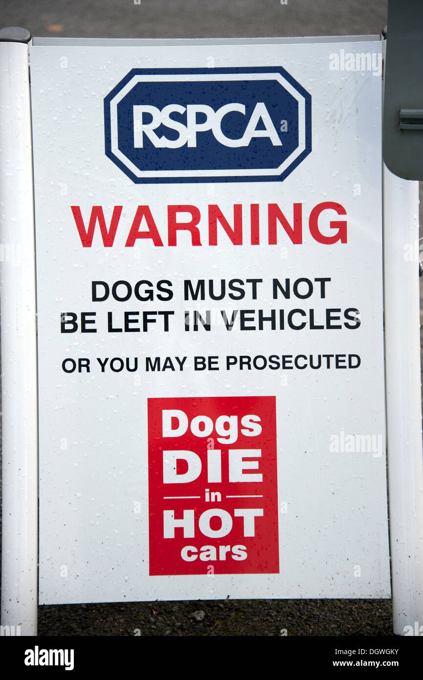 RSPCA Warning Dogs Die in Hot Cars Stock Photo