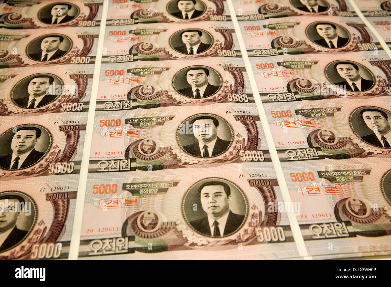 North Korean banknotes, 5000 Won each, with the portrait of Kim Il-Sung Stock Photo
