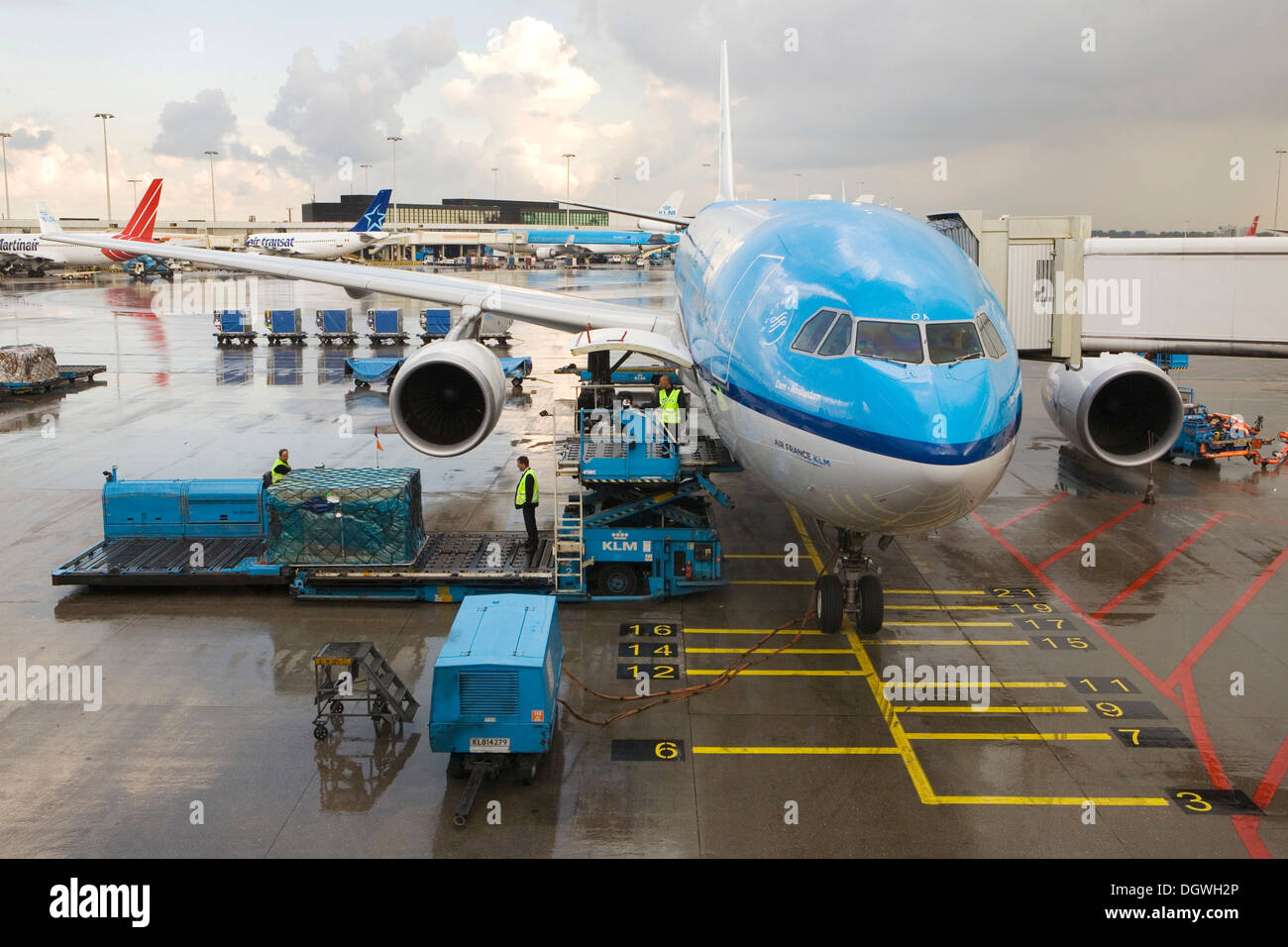 Airbus A330-200 aircraft of KLM during handling at Schiphol Airport, Amsterdam, The Netherlands, Europe Stock Photo