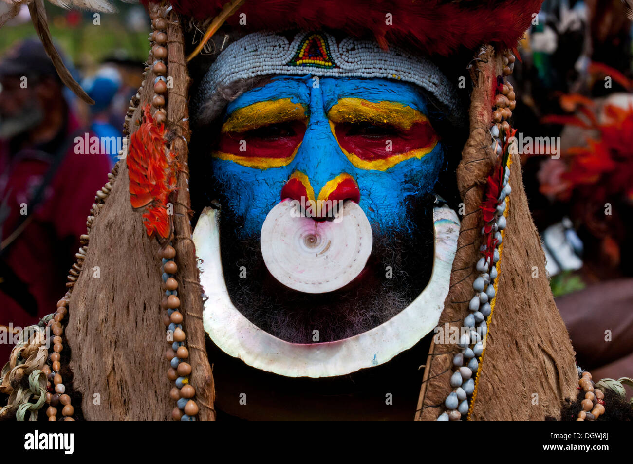 Member of a tribe in a colourfully decorated costume with face paint at the traditional sing-sing gathering, Hochland Stock Photo