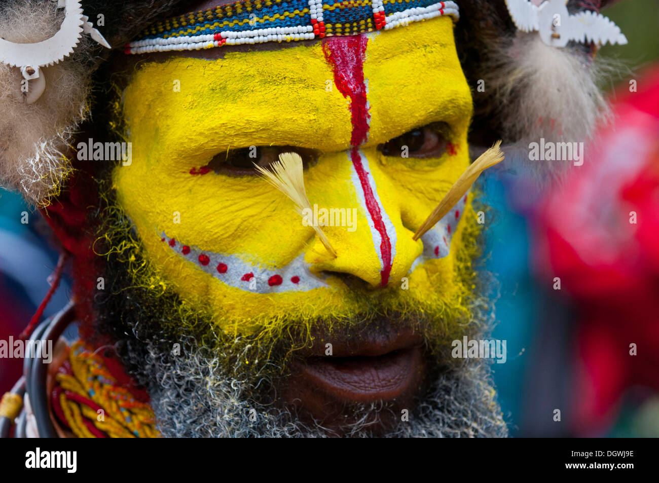 Man in a colourfully decorated costume with face paint is celebrating at the traditional Sing Sing gathering in the highlands Stock Photo