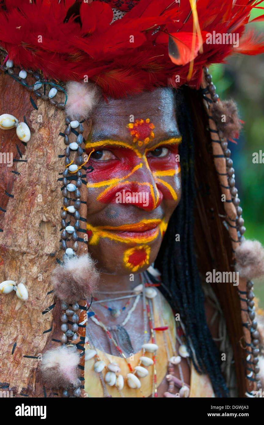Member of a tribe in a colourfully decorated costume with face paint is celebrating at the traditional Sing Sing gathering in Stock Photo