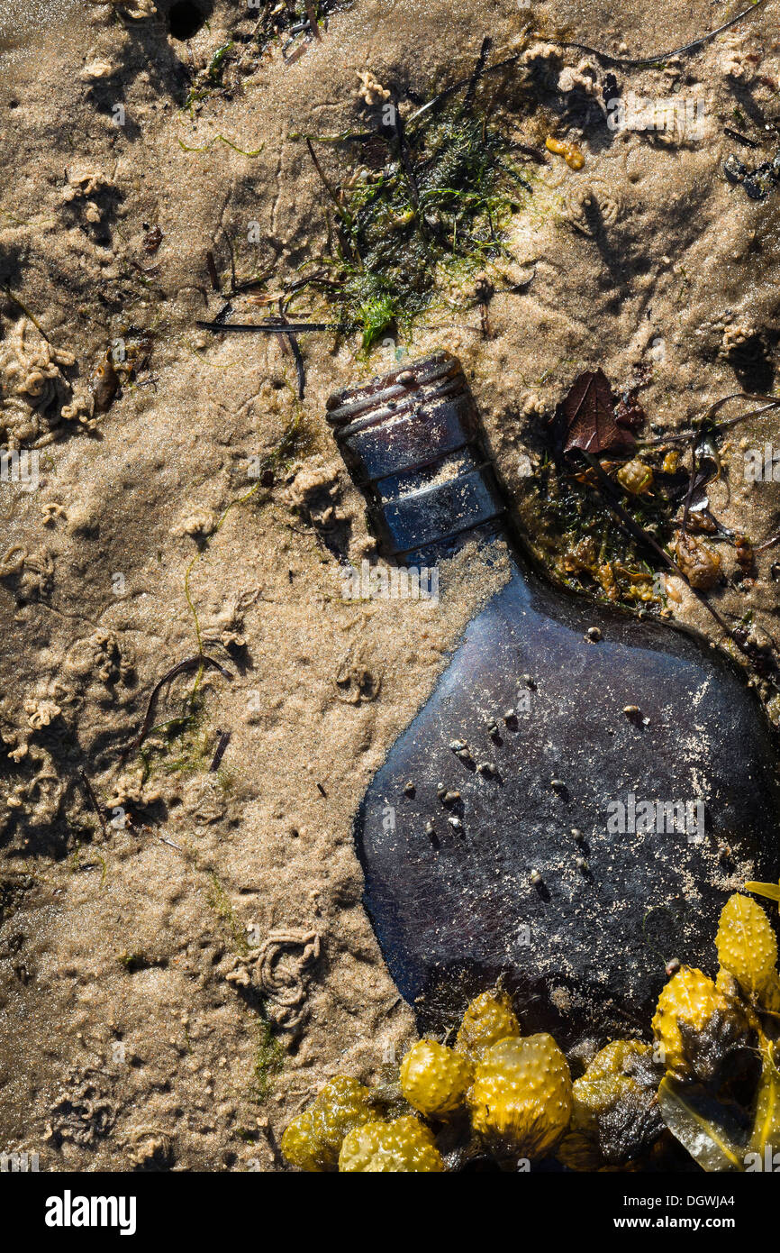 Old Bottle on shore of Moray Firth near Inverness in Scotland. Stock Photo