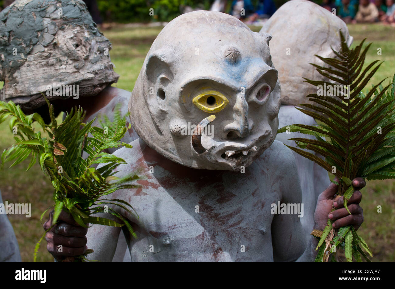 Mudman celebrating at the traditional Sing Sing gathering in the highlands, Paya, Papua New Guinea Stock Photo