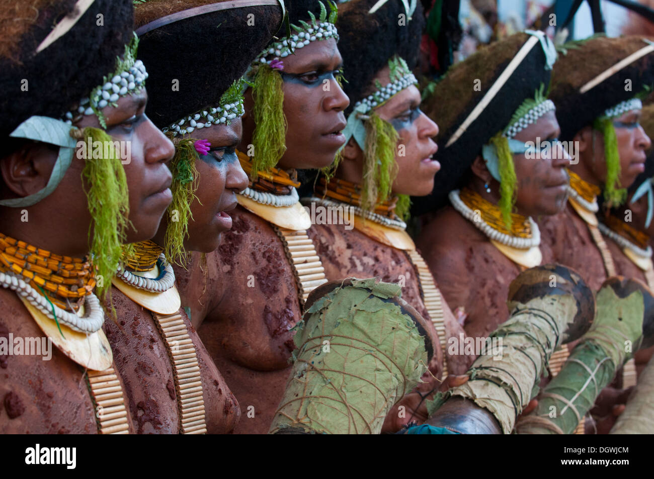 Decorated and painted women celebrating the traditional Sing Sing in the highlands, Enga, Highlands, Papua New Guinea Stock Photo