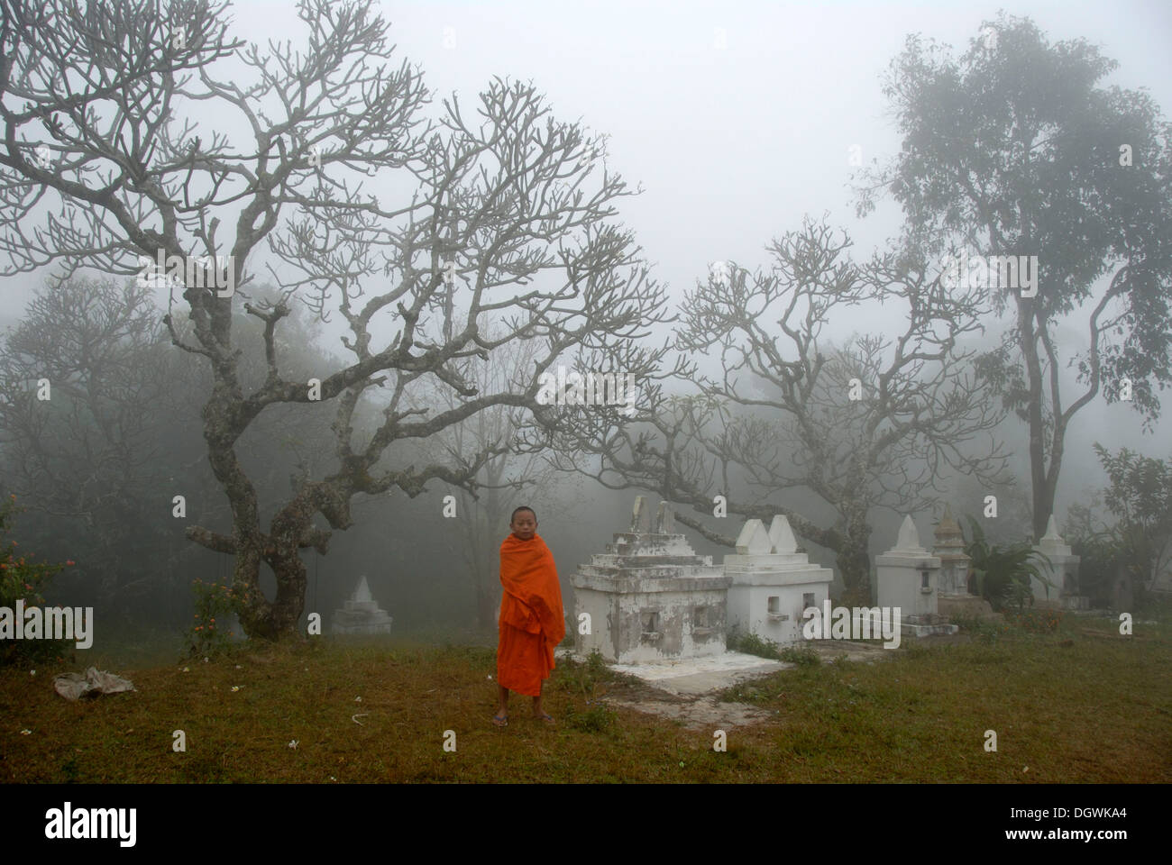 Buddhism and ancestor worship, eery branches in fog over graves, young novice with orange robe, Wat Kaew, Phongsali province Stock Photo