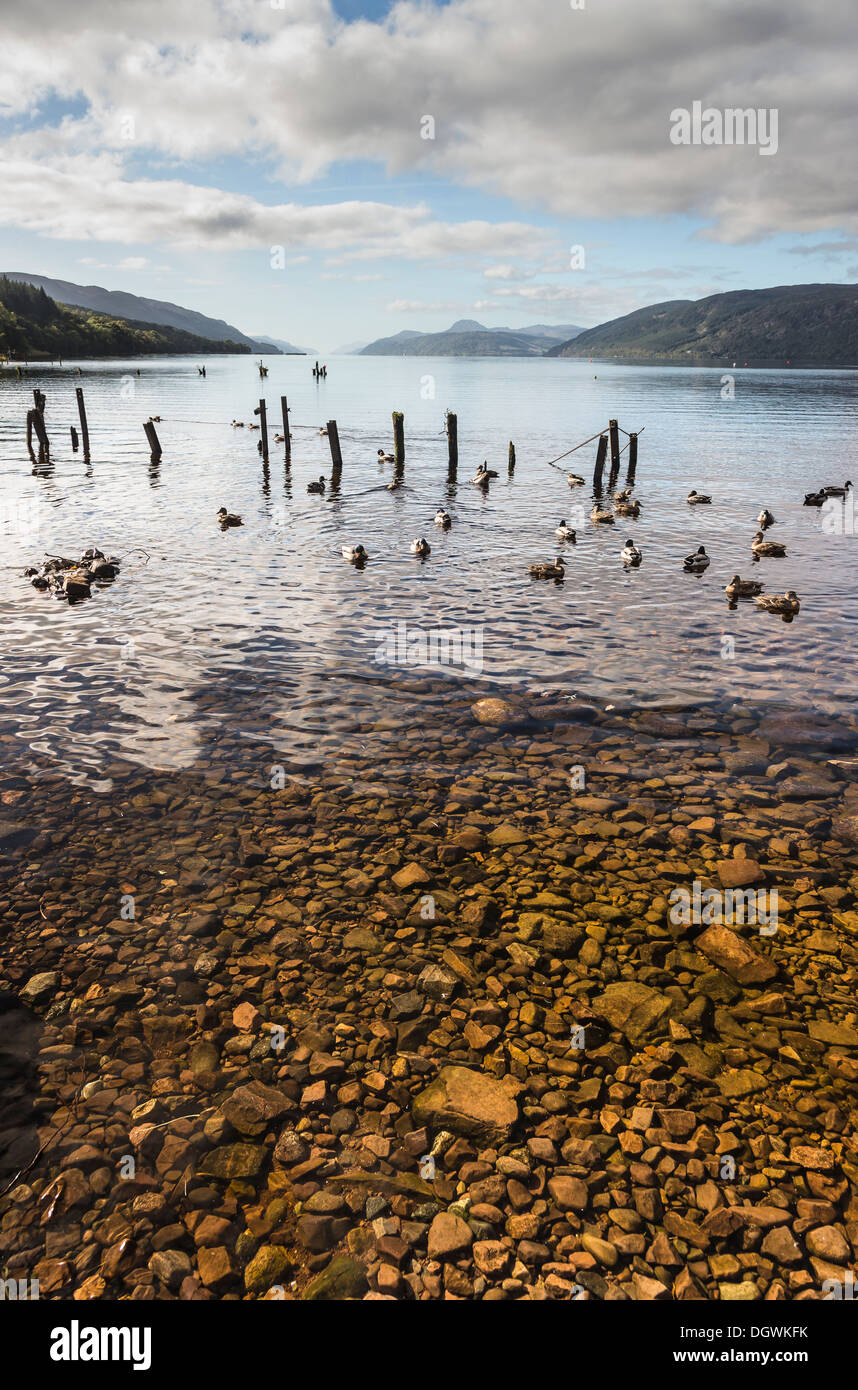 Loch Ness from Dores beach in Inverness-shire,  Scotland. Stock Photo