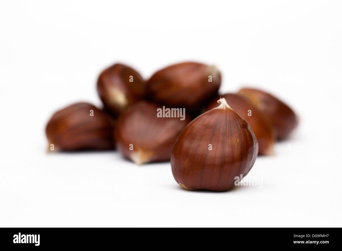 Castanea sativa. Sweet Chestnuts isolated on a white background. Stock Photo