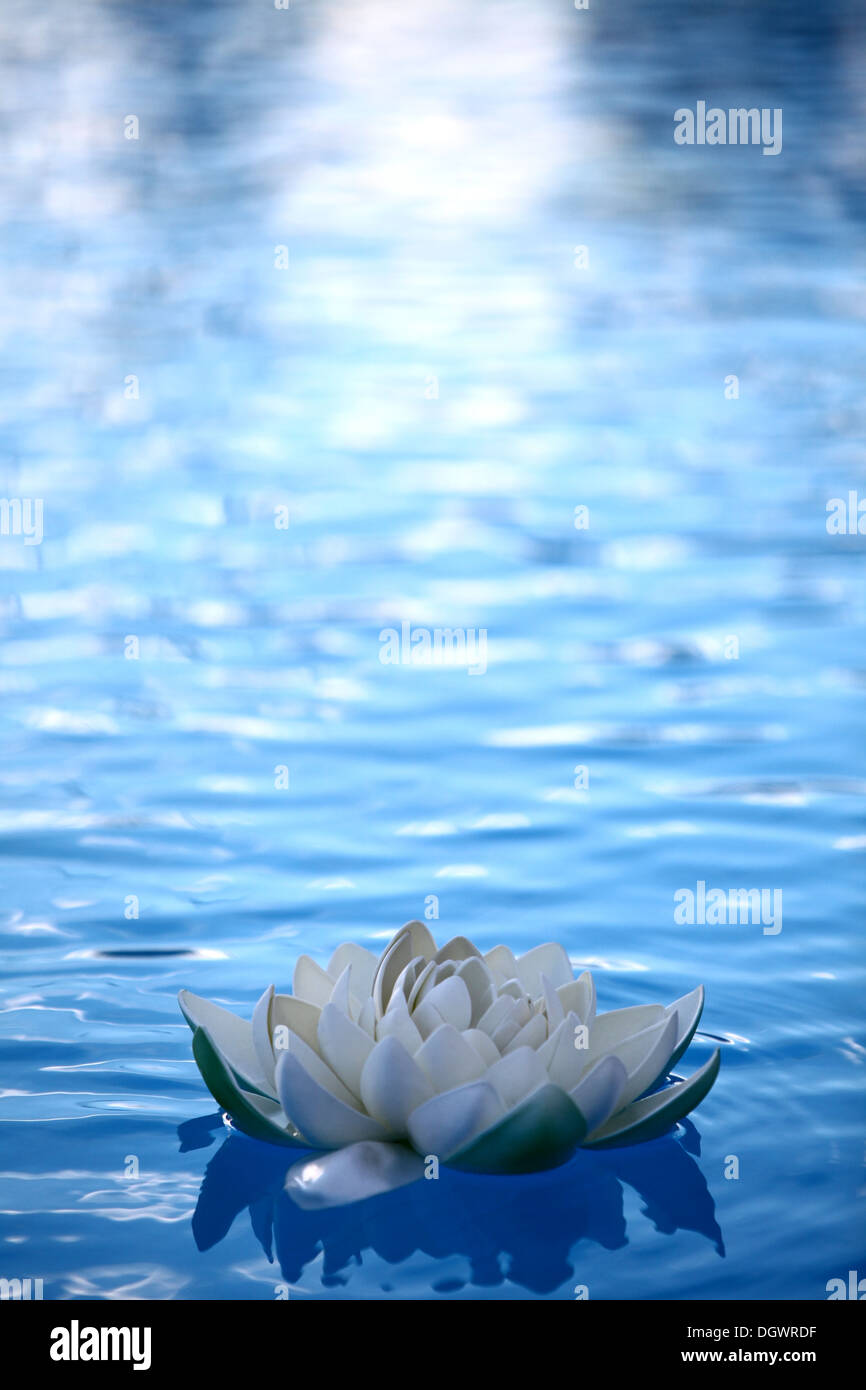 An artificial water lily floating on blue water Stock Photo Alamy
