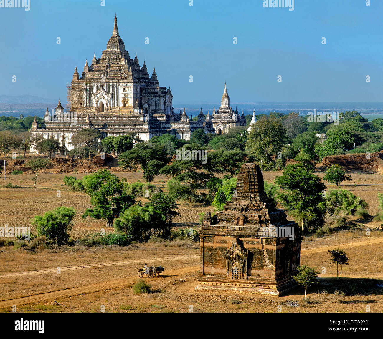 My Image 30